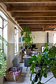 Grüne Pflanzen und Wäschekorb, im Hintergrund Schreibtisch in offenem Wohnraum mit Holzbalkendecke