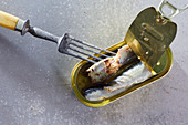 A tin of sardines with a fork
