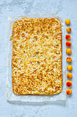 Grated cake with apricots on a concrete surface