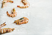 Raw uncooked tiger prawns on chipped ice over light grey background