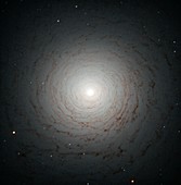 NGC 524 lenticular galaxy, HST image