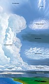 Illustration of cloud types