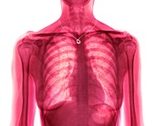 Woman's torso with necklace, composite X-ray