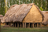 Reconstructed Neolithic hut, La Draga site