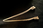 Bone tools excavated from La Draga Neolithic site