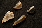 Flint arrowheads excavated from La Draga Neolithic site