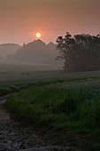 Misty rural landscape at sunrise