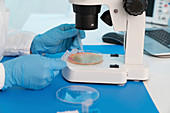 Microbiology research