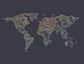 Global connectivity, illustration