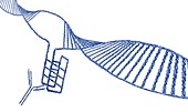 i-motif DNA structure, illustration
