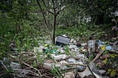 Plastic waste dumped in urban wood