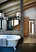 Free-standing bathtub in modern bathroom in natural shads