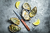 Closed and open oysters with a knife on a grey