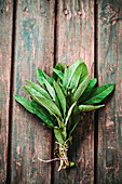Sage herb on table rustic setting