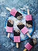 Roasted Rhubarb and Balsamic Popsicles with chocolate and almonds
