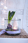 Adventsdeko aus Hyazinthe, Teelicht und Deko-Tannenbäumchen arrangiert in Glasgefäss