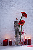 Weihnachtliche Deko mit roten Amarillisblüten, Birkenstamm und Stumpenkerzen