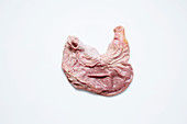 Pig stomach, whole