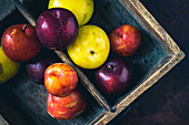 Colourful plums in a vintage wooden crate