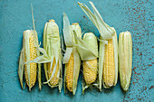 Corn on the old blue table