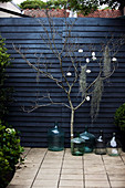 Balloon bottles and tree branch with Christmas decoration in front of wooden wall on terrace