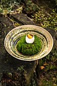 An egg with dried morel mushrooms and whitefish caviar, restaurant 'Auener Hof', Italy, Head Chef Heinrich Schneider
