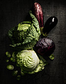 Various cabbages and eggplants