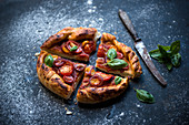 Vegan tomato and onion pizza