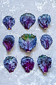 Leaves of violet cabbage on a concrete background