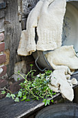 Ivy leaves for making traditional laundry detergent for wool