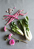 Zutaten für Gemüsestrauß mit Pak Choi, Bohnen und Dahlien