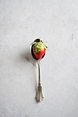 Strawberry on a Spoon
