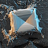 Common salt crystals, SEM
