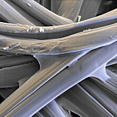 Silk fibres, SEM