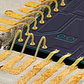 Silicon chip, SEM