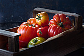 Verschiedene Tomaten in Steige