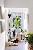 Two dogs in the hallway in a country house with summer plant decorations