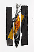 Food art: mackerel (gold, black and white)