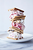 Raspberry Ripple and Marshmallow Icecream Smore Sandwiches