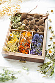 Dried flowers in drawer with dividers