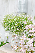 Gypsophila In Tin Can