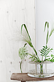 Airy arrangement of green leaves in glass vase