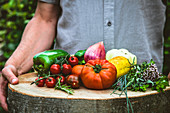 Organic vegetables - Farmers hands with freshly harvested vegetables