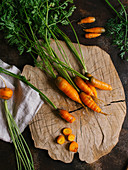 Carrots and vegetables