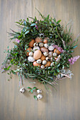 Quail eggs and hens' eggs in Easter wreath