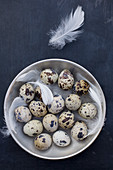 Quail eggs in silver dish and feather on black surface