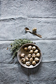 Quail eggs in dish and flowering sprig on rough cloth