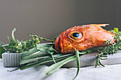 Raw red scorpion fish, with rosemary and thyme
