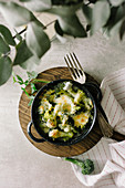 Broccoligratin mit Bechamelsauce und Käse (Aufsicht)