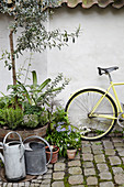 Gelbes Fahrrad im Hof neben Pflanzen und Gießkannen